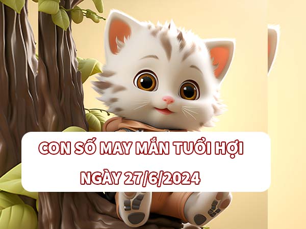 Dự đoán con số may mắn tuổi Hợi ngày 27/6/2024