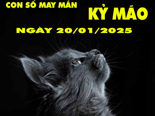 Vài nét về tuổi Kỷ Mão hôm nay ngày 20/1/2025 thứ 2