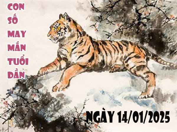 Cặp số đẹp may mắn tuổi Dần ngày 14/1/2025 thứ 3 hôm nay