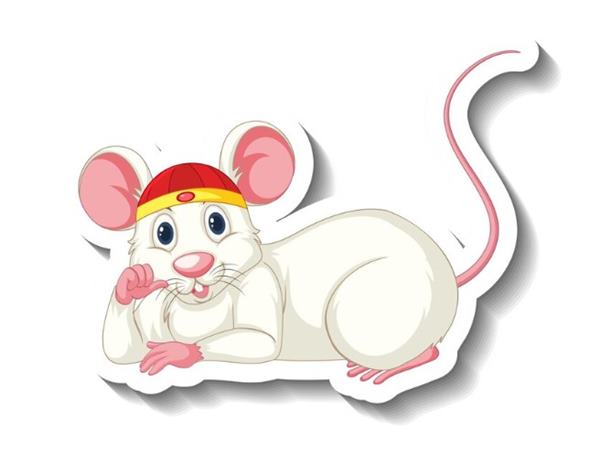 Con số tài lộc tuổi Tý ngày 25/4/2025 chuẩn nhất 1