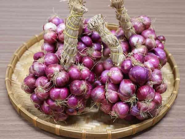 Giải mã chi tiết các trường hợp mơ thấy củ hành