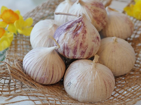 Ngủ mơ thấy củ tỏi ẩn ý điềm báo gì về tương lai?