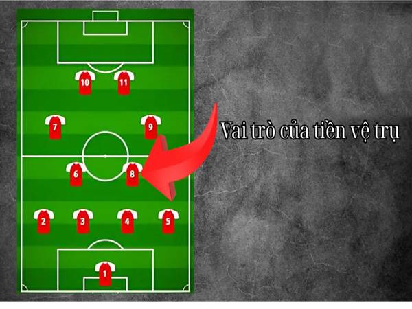 Tiền vệ trụ là gì?