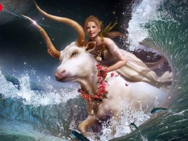 Tổng quan tử vi ngày 23/3 Thứ Hai cung Kim Ngưu