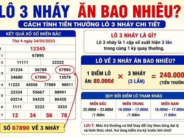 Lô về 3 nháy hôm sau nên tham khảo con gì?